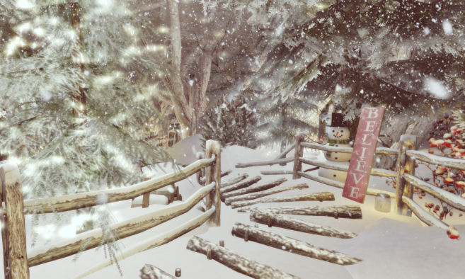 'Tis The Season at Moochie